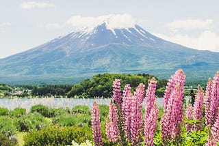 A sunny meadow in Japan, looking up to a great mountain.