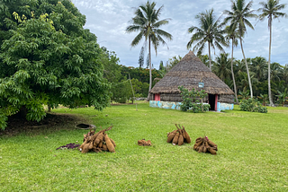 Yams that have been ceremonially blessed outside the meeting place of a Big Chief on Nengone (Maré), in the Loyalty Islands of New Caledonia.