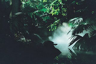 Experience vs. Expression: Are You Missing Life While Trying to Capture It?