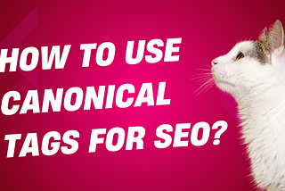 How to Use Canonical Tags for SEO?