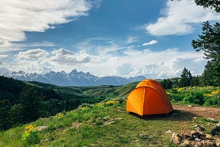 Vegan Camping Cookbook Collective