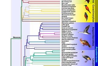 Rewriting the evolutionary timeline of chili peppers with the recent discovery of 50 million years…