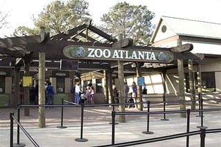 Top 5 Can You Buy Atlanta Zoo Tickets At The Gate