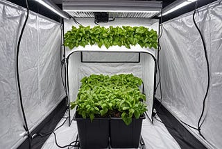 grow-tents-1