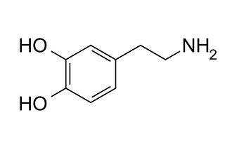 The chemical structure of dopamine