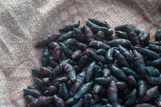 A pile of long black and blue berries on a faded towel.