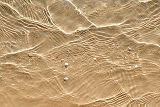 Finding gold in Github Issues; a long-time Zed and virtual env bug gets fixed