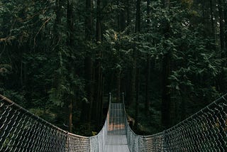 The Hidden Dilemma of Letting Go