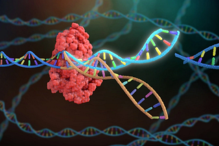 Selective Breeding: A Look Into Genetic Engineering