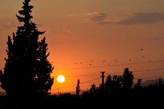 How to Tell if a Man Truly Loves You or Just Wants to Play Games