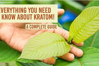 🍃 EVERYTHING YOU NEED TO KNOW ABOUT KRATOM! 🍃