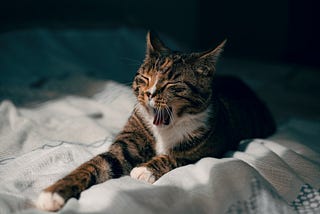 How to hibernate