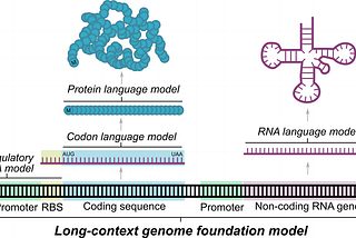 Is DNA all you need?