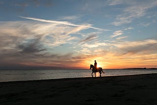 Wild Horses