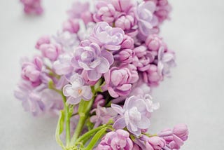 The Flower-Patterned Handkerchief