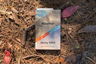 A photo of Weather by Jenny Offill resting on a bed of pine straw.