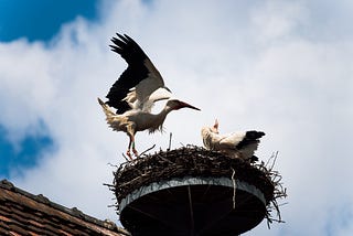 Working together in an office does not make you a successful team