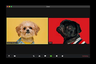 Video Conferencing Explained