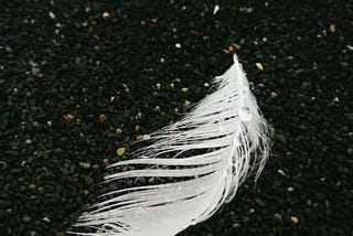 A White Feather is Watching Me