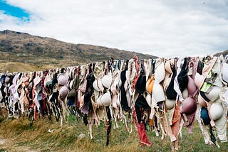 Hundreds of bras on a clothesline