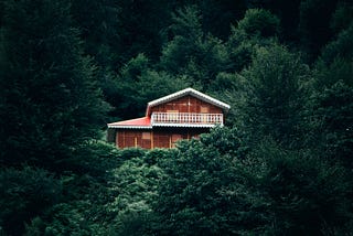 Picture of a house in the jungle, surrounded by lush green vegetation