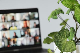 A picture of a laptop with what looks like a Zoom meeting — many boxes of people on the screen — in the background with a houseplant in the foreground