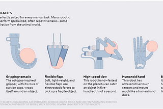 Robotics (r)evolution