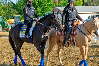2021 Preakness Stakes field and ML odds | The TwinSpires Edge