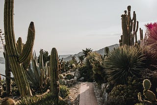 Aerial Cactus Identification Using Transfer Learning