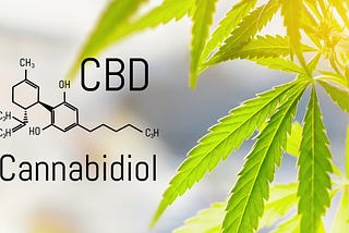 4 Things You Need to Know Before You Buy CBD