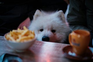 Attention Is the New Big-O