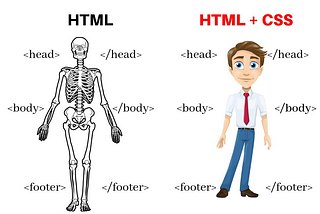 Flex vs Grid (CSS)