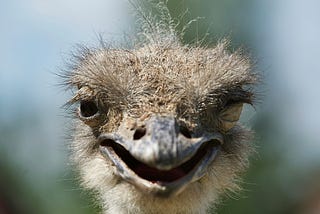 Friday Funnys! Oxymoronic Obfuscation!