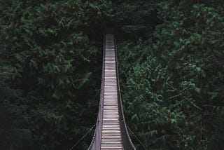 Build a Bridge and Get Over It