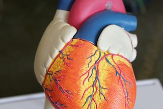 Decoding the Secrets of Coronary Artery Health