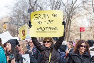 A lady in sunglasses and a black jacket at a protest holding up a sign that says “GRAB EM BY THE MIDTERMS”. There are several others surrounding her and leafless trees in the background indicating it’s wintertime.