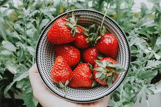 How to Grow Strawberries