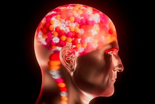 The Art of Neuroaesthetics