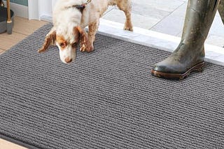 dexi-door-mat-indoor-rug-inside-front-entrance-non-slip-low-profile-washable-for-entryway-195x315gre-1