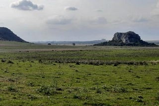 Pampa em risco: mineração e agricultura de commodities ameaçam vegetação nativa