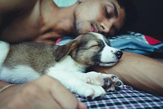Why Learning to Rest Is the Key to Successful Software Development