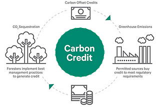 Understanding Major Carbon Credit Offset Scams: A Comprehensive Overview