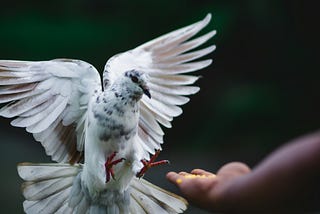 It's About Time I Extend Some Grace to Difficult People