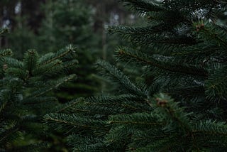 Django Primer: Middleware framework