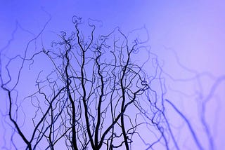 Dreamscapes: Unleashing the Boundless Imagination