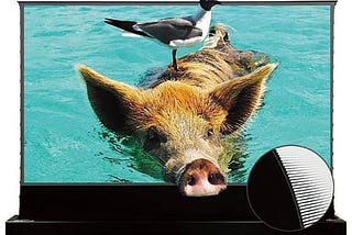 vivid-storm-since-2004-120-inch-s-pro-motorized-floor-rising-screen-crystal-clear-image-quality-with-1