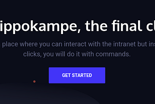 How Hippokampe was designed?