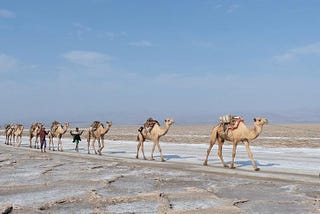 How Ethiopia is Changing the World Using Cardano Technology