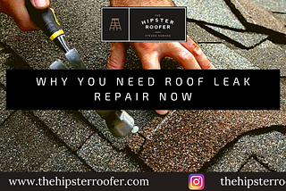 Why You Need Roof Leak Repair Now