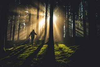 From Shadows to Light